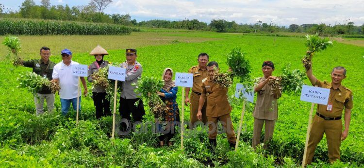 Pupuk Kaltim gelar sosialisasi program Agrosolution dan pelatihan pembuatan kompos menggunakan produk hayati Biodex, bagi para petani Desa Bringinan Kabupaten Ponorogo