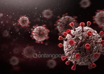 Covid-19 Ngegas Lagi, Satgas IDI Sebut Omicron XBB Unik