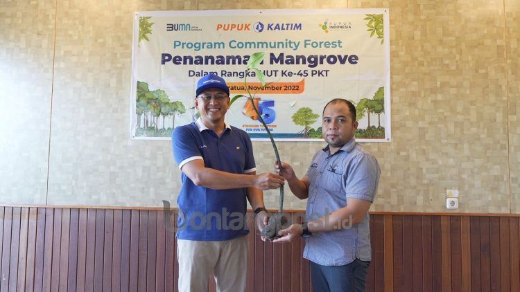 Pupuk Kaltim lakukan penanaman 1.100 bibit mangrove dan penurunan 120 media transplantasi terumbu karang di Berau