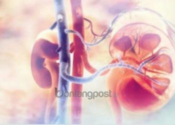 Kasus Gagal Ginjal Akut, Polri Segera Periksa Pejabat BPOM