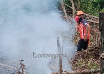 0,85 Hektare Lahan di Kanaan Terbakar