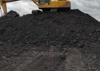 Terkait Terbitnya 21 IUP Palsu, Polda Segera Periksa Pejabat Pemprov, Dua Instansi Dalam Sorotan