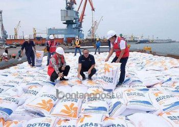Pemerintah Impor Beras, Petani Makin Terpuruk