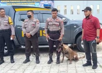 Cari Kapten Kapal yang Hilang di Perairan Indominco, Polda Turunkan Anjing K9