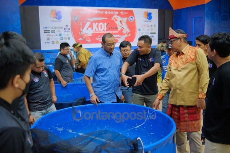 Pupuk Kaltim bekerja sama dengan Bontang Koi Khatulistiwa (BoKK) gelar 4th Bontang Koi Show 2022