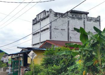 246 Sarang Walet di Bontang, Capaian Pajak Hanya Rp 1 Juta