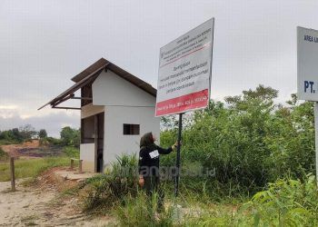 Diduga Pemegang IUP Palsu Beroperasi di Kawasan Konservasi Orang Utan