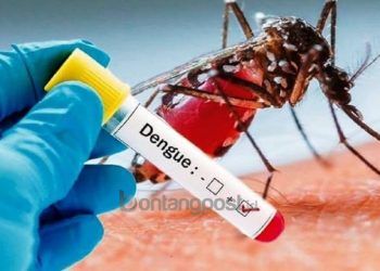 Waspada, Bulan Ini 52 Warga Bontang Terjangkit DBD