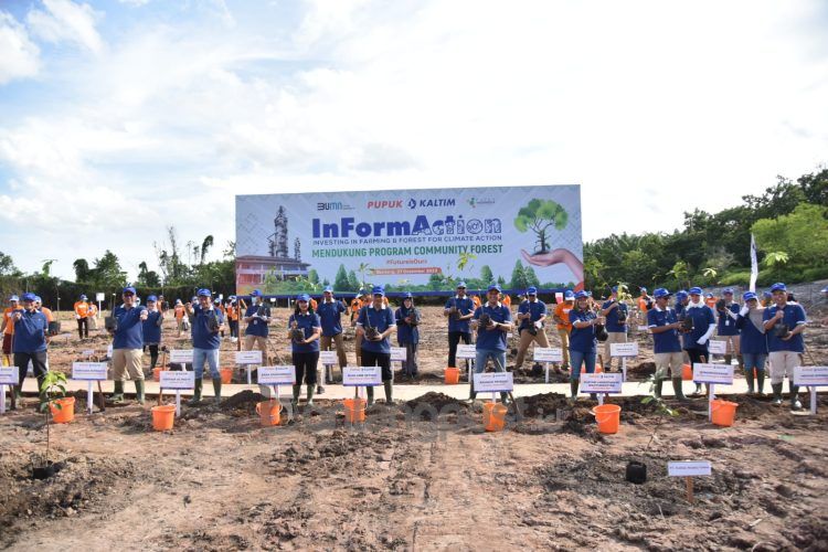PKT telah melakukan penanaman sebanyak 23.272 tanaman pada lahan seluas 32,4 hektare