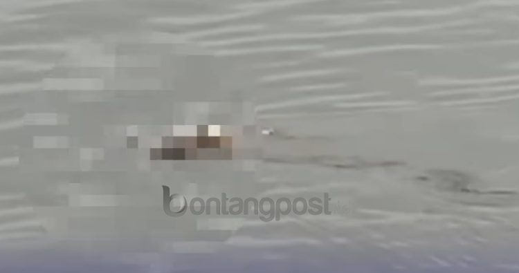 Video jenazah balita yang tenggelam di Sungai Mahakam diantar oleh buaya viral di medsos
