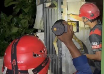 Ular Piton Hampir Tiga Meter Dievakuasi Usai Makan Ternak Warga di Berebas Tengah