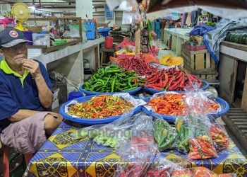 Harga Cabai Makin Pedas, Tembus Rp 80 Ribu Per Kilo