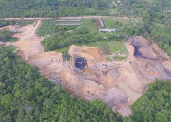 Konservasi Orangutan Kembali Ditambang