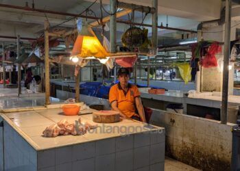Stok Menipis, Harga Ayam Tembus Rp 75 Ribu per Ekor