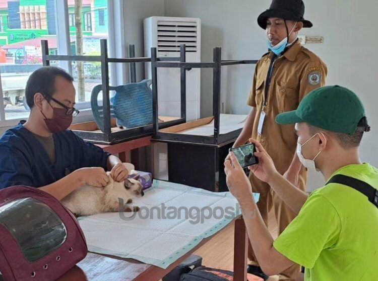 Vaksin rabis yang dilakukan di Puskeswan. Masyarakat iimbau segera mendaftar, masih ada sekira 1.400 kuota vaksin (Lutfi/bontangpost.id)