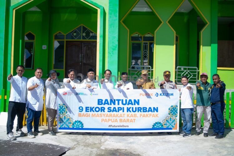 Pupuk Kaltim salurkan bantuan sembilan sapi kurban bagi masyarakat Kabupaten Fakfak Papua Barat