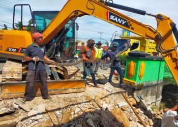 Tiga Ular Piton Bersarang di Proyek Drainase Jalan Ahmad Yani
