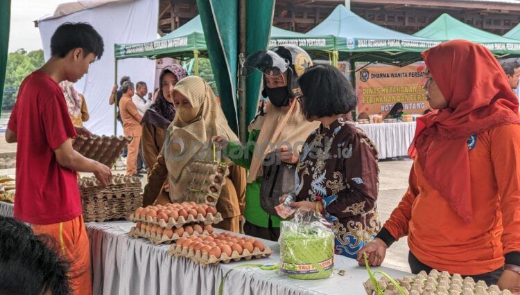 DKP3 gelar pasar murah di TPI Tanjung Limau hingga Selasa (18/7/2023) sore (Nasrullah/bontangpost.id)