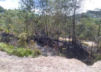 Terkena Percikan Api, Lahan di Jalan Flores Terbakar
