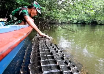 Soal Rencana Evakuasi, Ambo Tak Setuju Semua Buaya Disasar