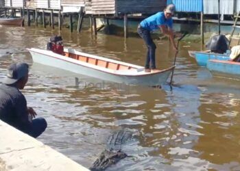 Kisah Ambo yang 25 Tahun Memelihara Buaya Riska