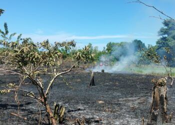 Delapan Hektare Lahan di Bontang Lestari Terbakar