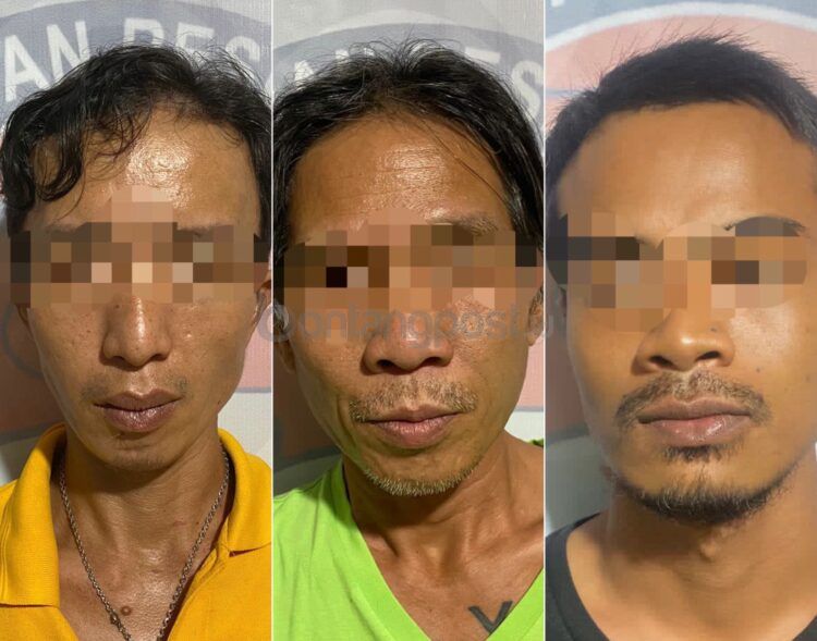 Jaringan ganja dibongkar polisi, tiga tersangka ditahan, yakni ED (kiri), JC (tengah) dan MH (kanan).