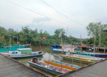 Lurah Sebut Pengeboman Ikan di Sungai Picu Buaya Guntung Naik ke Permukiman Warga