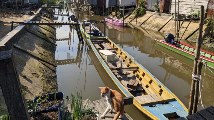 Sungai Guntung yang membelah permukiman warga. Di lokasi ini biasa muncul buaya. (Nasrullah/bontangpost.id)