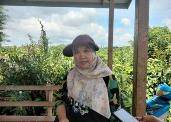 Tersebab Sering Diberi Makan, Buaya Guntung Sering ke Permukiman