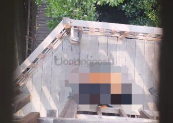 Kejadian Lagi, Sejoli Bermesraan di Taman Mangrove Bontang Viral di Media Sosial