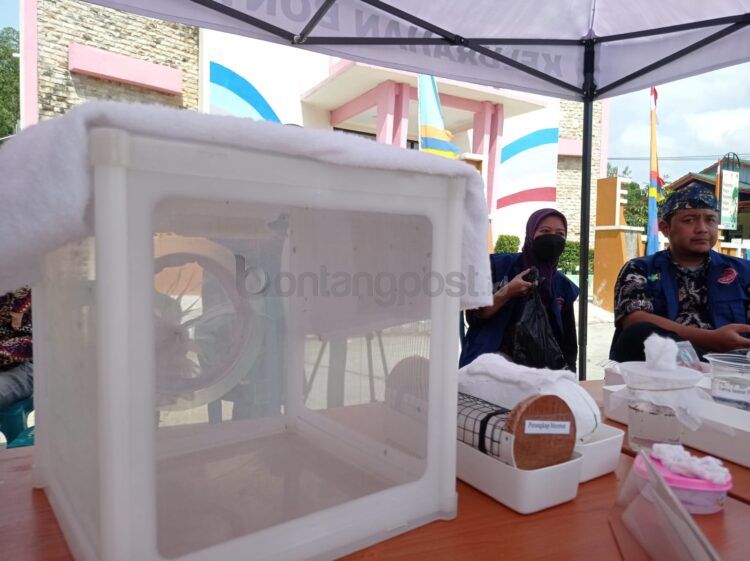 Jutaan nyamuk wolbachia dalam wadah khusus disebar di Bontang