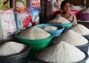 Stok Beras Kaltim Aman sampai Februari 2024
