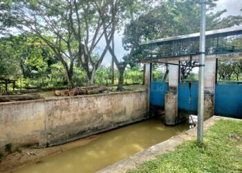 Penanggulangan Banjir Berupa Penguatan Tebing di Gunung Telihan Pakai Dana Bankeu