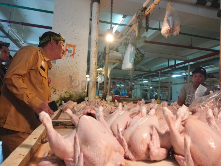 Pemkot Bontang tinjau harga bahan pangan di Pasar Taman Rawa Indah (Jelita/bontangpost.id)