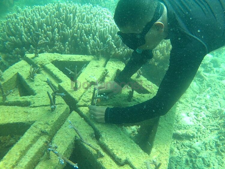 Yusta saat melakukan monitoring transplantasi terumbu karang di perairan Tobok Batang. (Dokumentasi Pribadi)