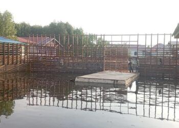 Buaya Riska Bakal Dikembalikan ke Bontang, Pembangunan Kandang Sudah 95 Persen
