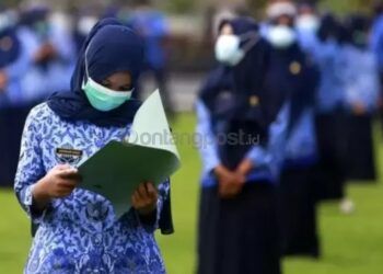 Siap-siap! Pemerintah Segera Buka Seleksi CPNS dan PPPK 2024 hingga 3 Kali