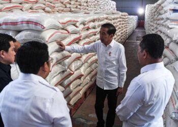 3 Juta Ton Beras Impor Bakal Banjiri RI Tahun Ini