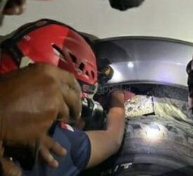 Disdamkartan Evakuasi Ular yang Sembunyi di Ban Mobil Warga Bontang Kuala