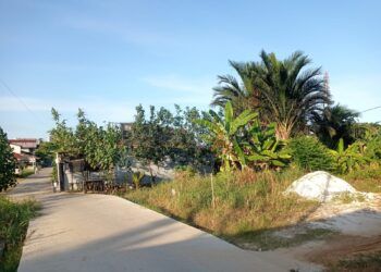 Polder Tanjung Laut Masuk Tahap Pembebasan Lahan, Anggaran Awal Rp11 Miliar