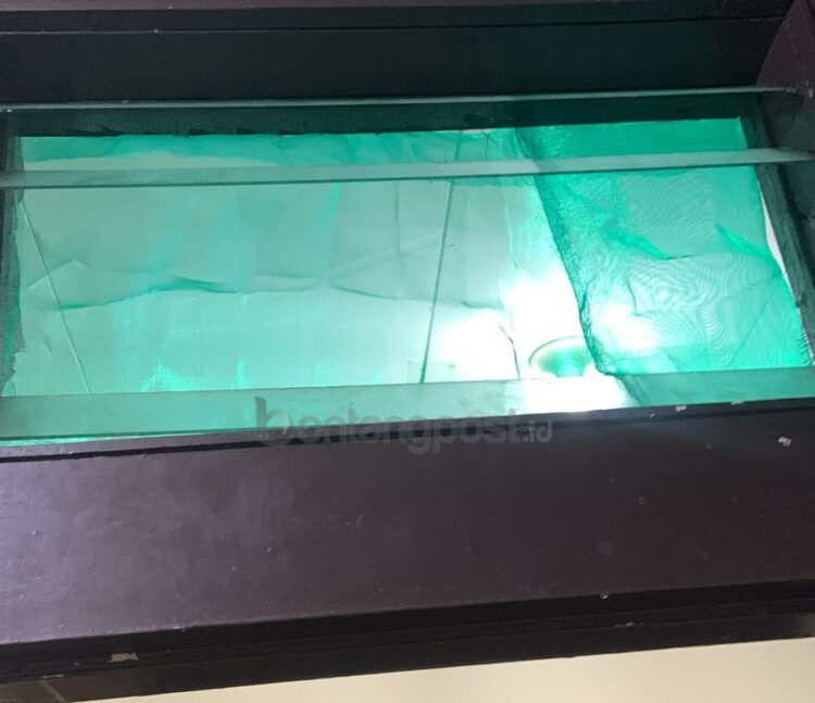 Tersangka diduga sempat merusak ventilasi rumah korban untuk melancarkan aksinya (ist)