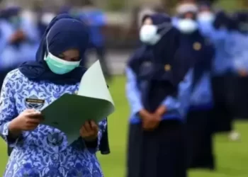 Seleksi CPNS Bakal Dibuka Maret, Ini Syarat dan Tata Cara Mendaftarnya