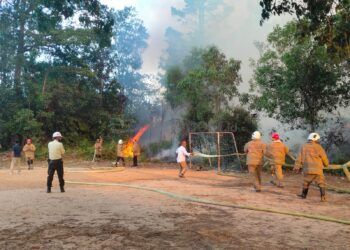 Lahan di Jalan Pupuk Raya Terbakar