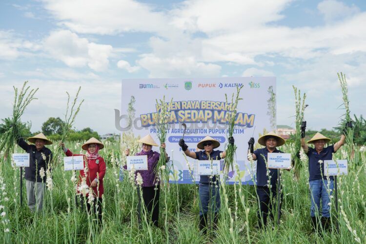 Program Agrosolution berhasil menaikkan hasil panen sedap malam di 2023 dari 30.000 batang per hektare setiap bulannya menjadi 35.000 batang per hektare yang menunjukkan kenaikan produktivitas sebesar hampir 17 persen.