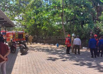 Lahan di Jalan Pupuk Raya Terbakar, Angin Kencang Bikin Api Membesar