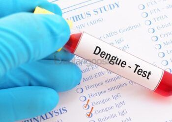 DBD Tak Selalu Demam, Ini Gejala yang Harus Diwaspadai