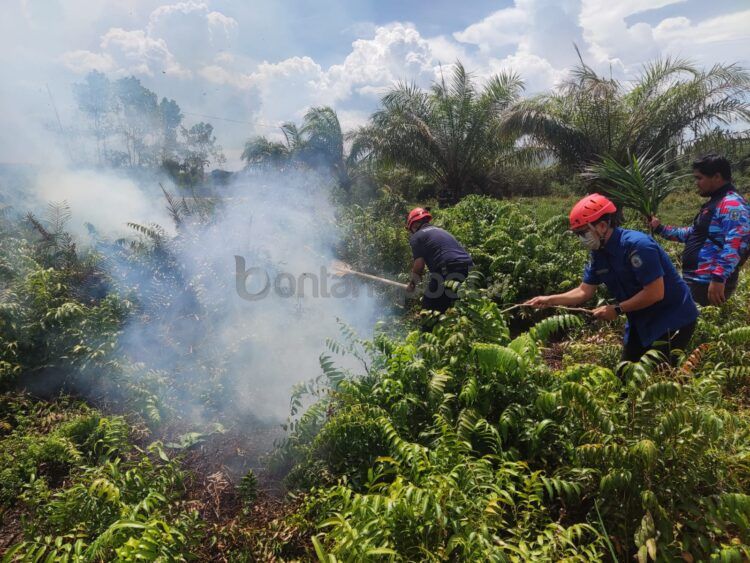 Disdamkartan Bontang masih melakukan proses pemadaman lahan yang terbakar