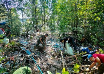 Tumpukan Sampah Diduga Terbawa Arus, Dispopar Pasang Jaring di Kawasan Mangrove Berbas Pantai