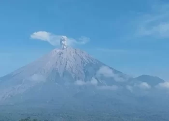 Gunung Semeru Lima Kali Erupsi dengan Tinggi Letusan hingga 900 Meter